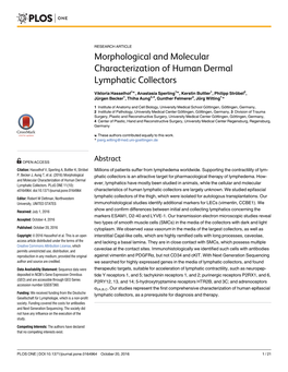 Morphological and Molecular Characterization of Human Dermal Lymphatic Collectors