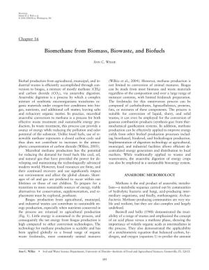 Biomethane from Biomass, Biowaste, and Biofuels