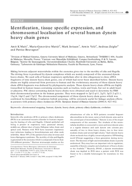 Identification, Tissue Specific Expression, and Chromosomal