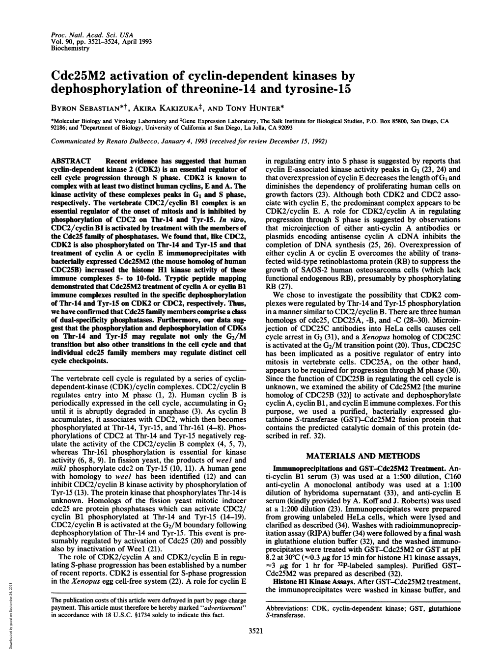 Dephosphorylation of Threonine-14 and Tyrosine-15