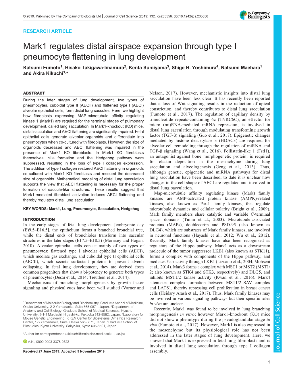 Mark1 Regulates Distal Airspace Expansion Through Type I Pneumocyte Flattening in Lung Development Katsumi Fumoto1, Hisako Takigawa-Imamura2, Kenta Sumiyama3, Shige H