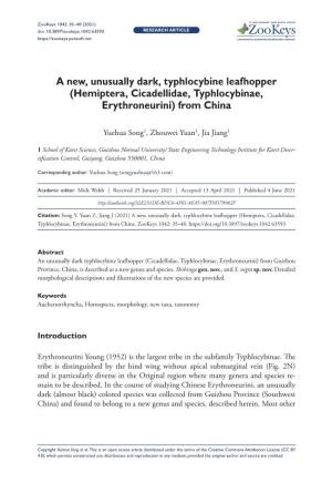 Hemiptera, Cicadellidae, Typhlocybinae, Erythroneurini) from China