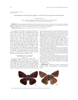 Hesperiidae of Rondônia, Brazil: a New Genus and Species of Pyrginae