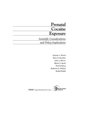 Prenatal Cocaine Exposure: Scientific Considerations and Policy Implications