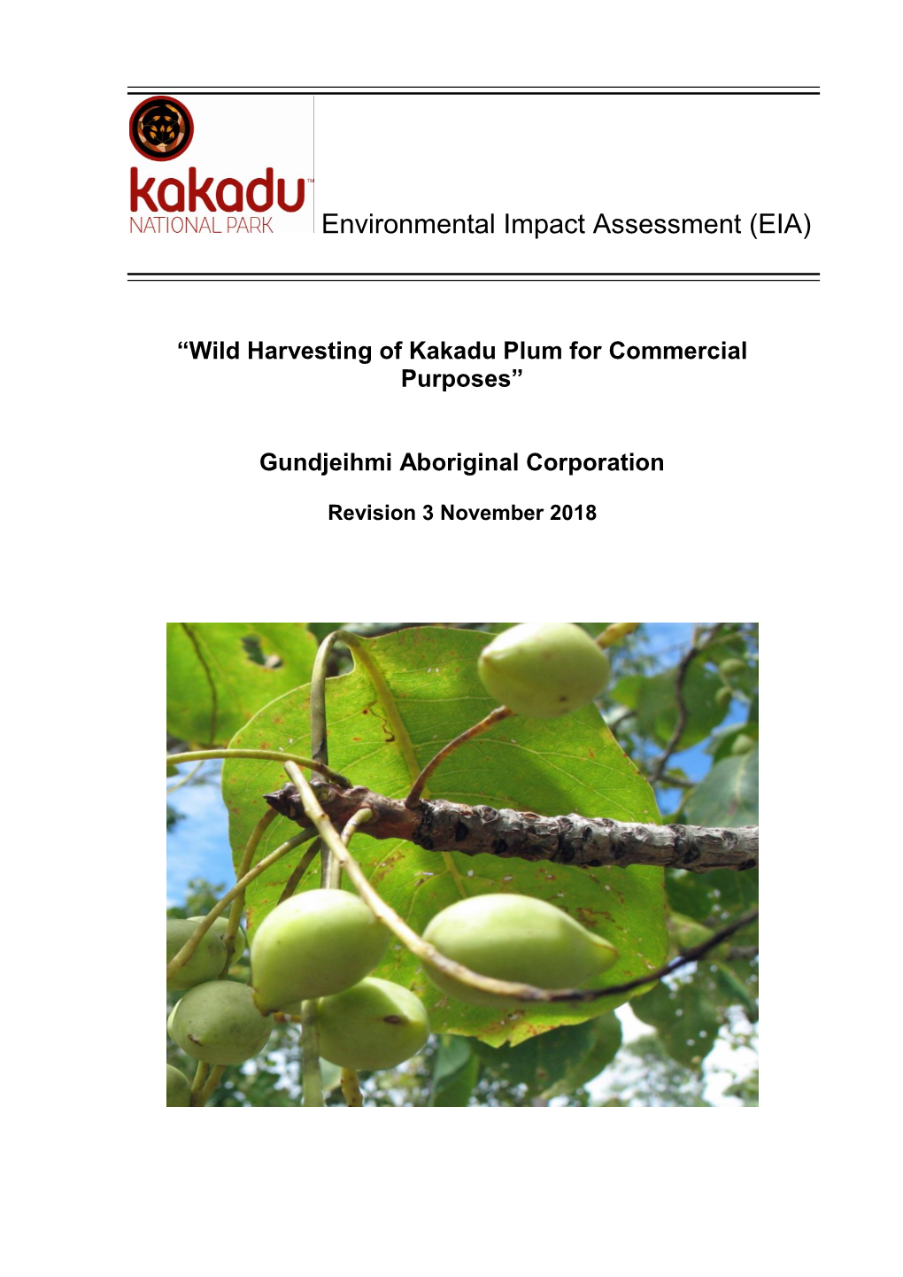 Environmental Impact Assessment (EIA)