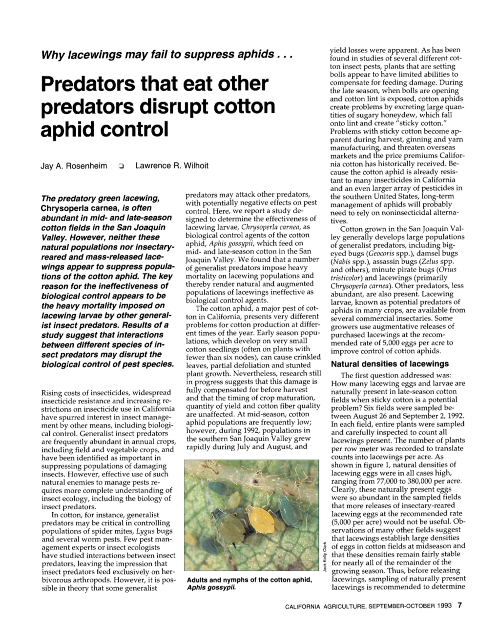 Why Lacewings May Fail to Suppress Aphids …