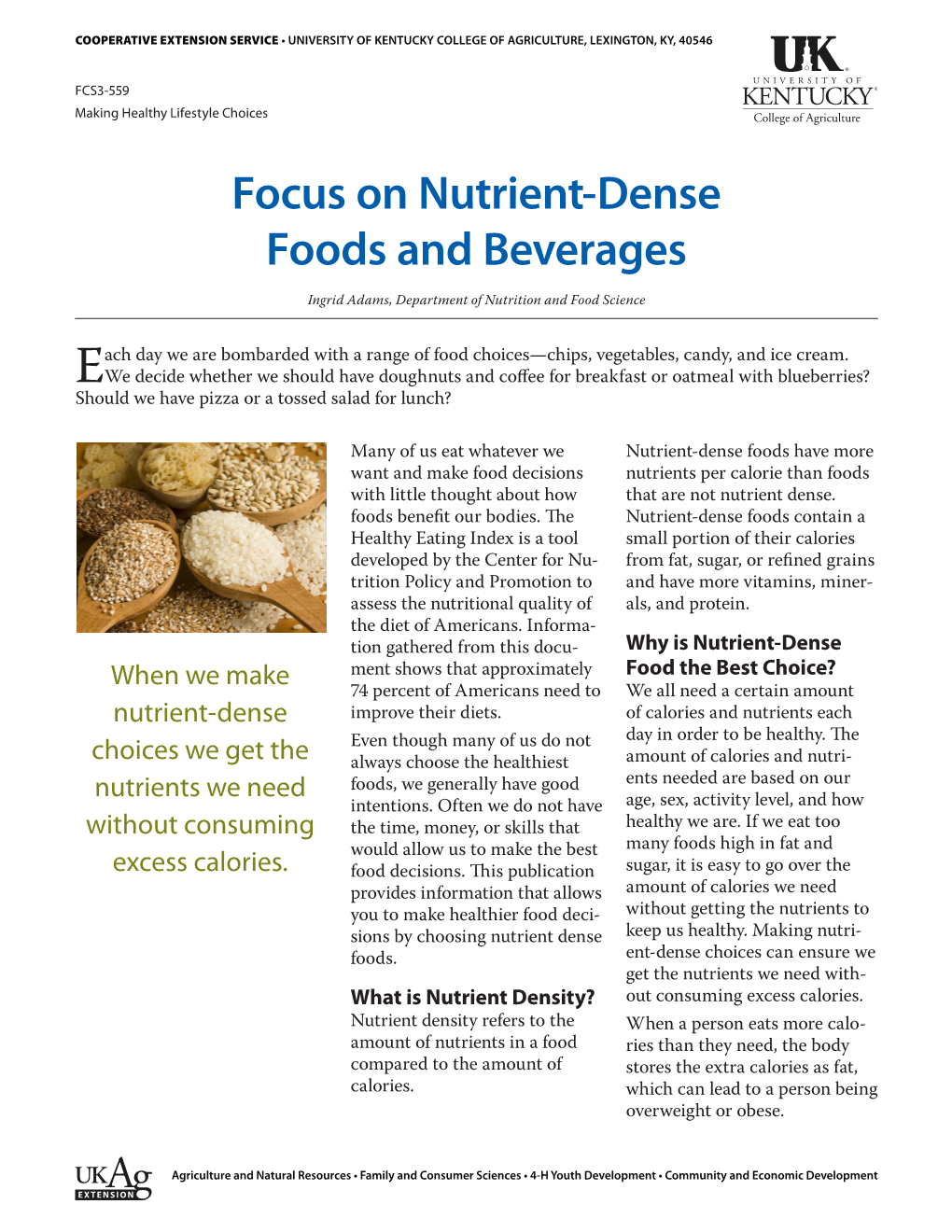 Focus on Nutrient Dense Foods and Beverages