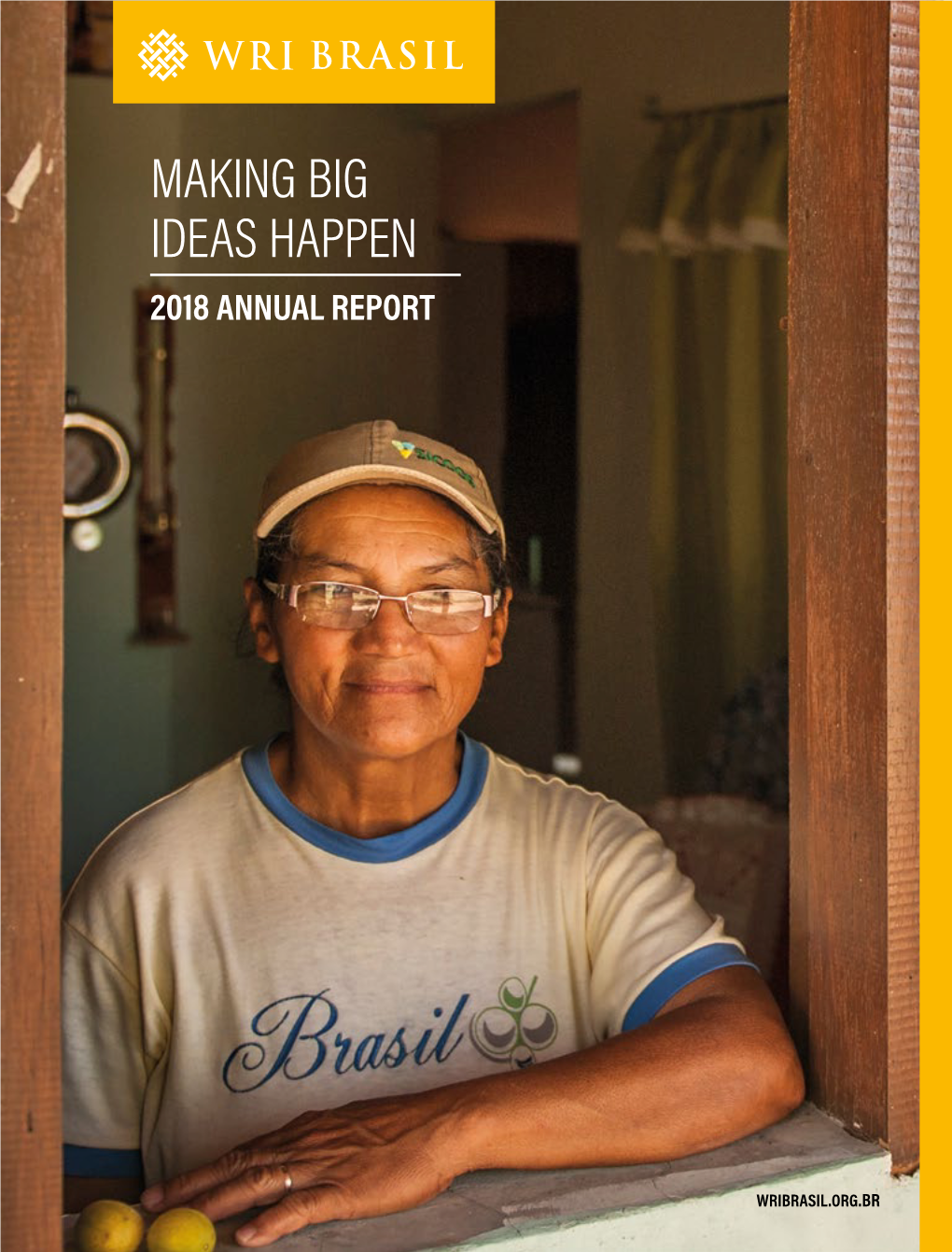 Making Big Ideas Happen 2018 Annual Report