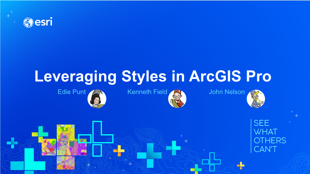 Leveraging Styles in Arcgis