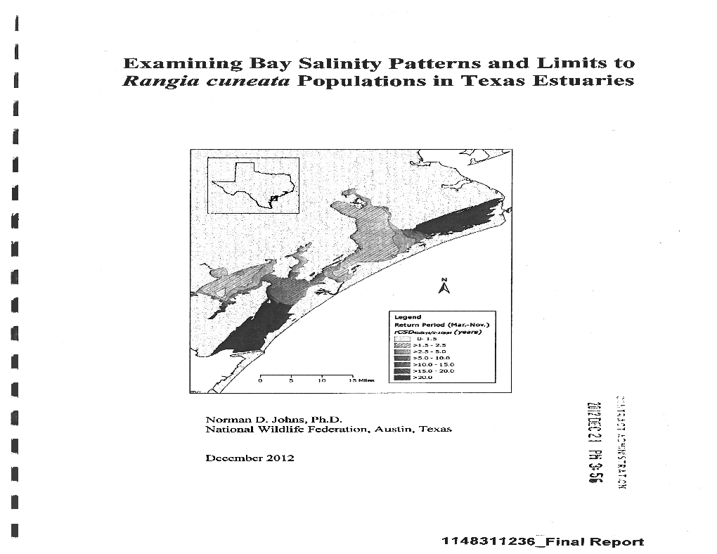 Examining Bay Salinity Patterns and Limits to Rangia Cuneata Populations in Texas Estuaries