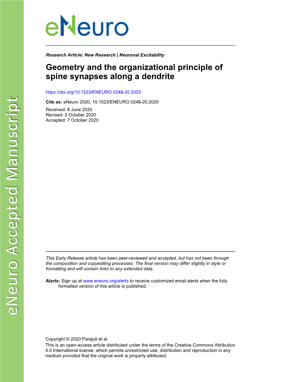 Geometry and the Organizational Principle of Spine Synapses Along a Dendrite