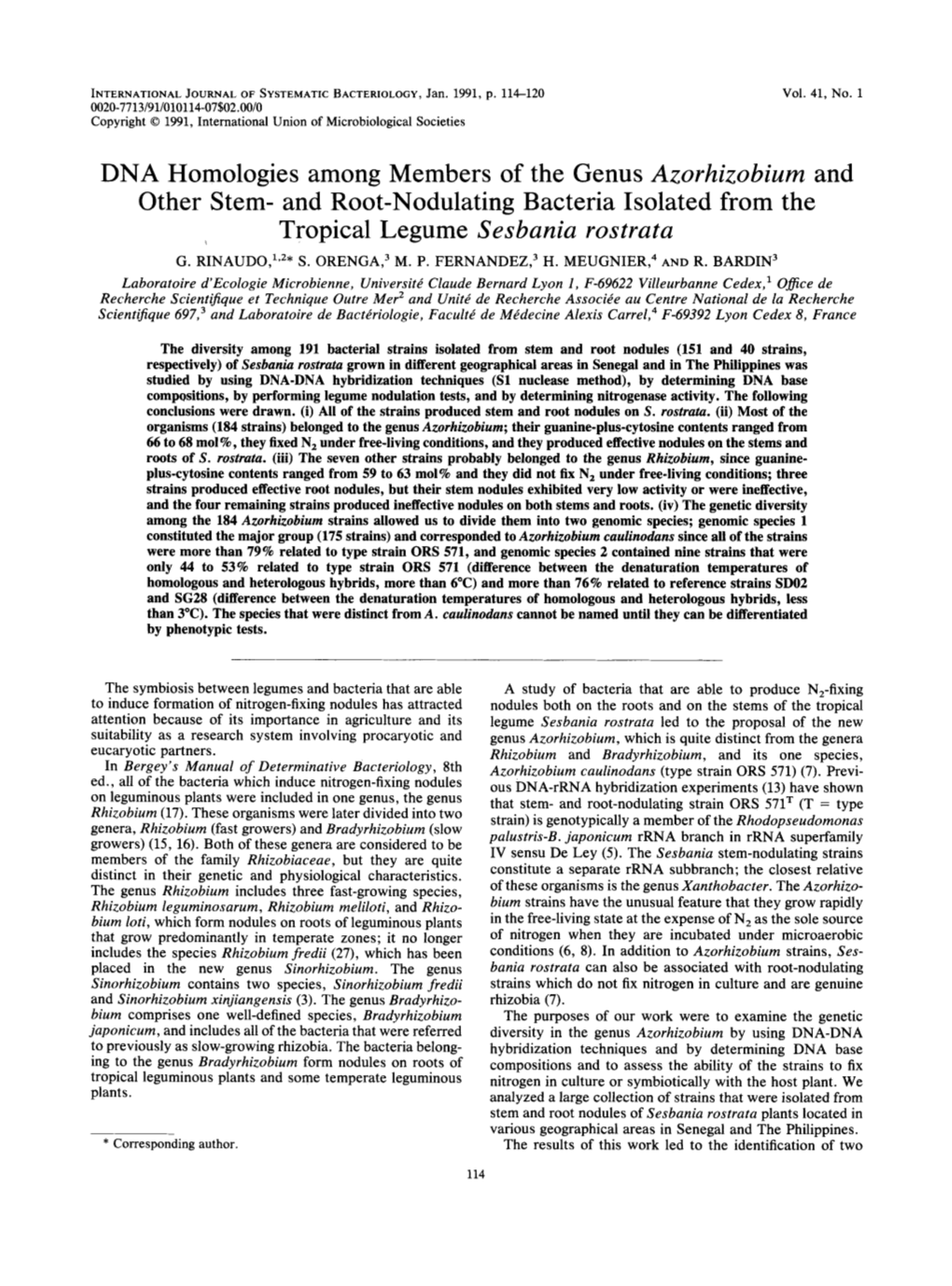 DNA Homologies Among Members of the Genus Azorhizobium and Other Stem- and Root-Nodulating Bacteria Isolated from The