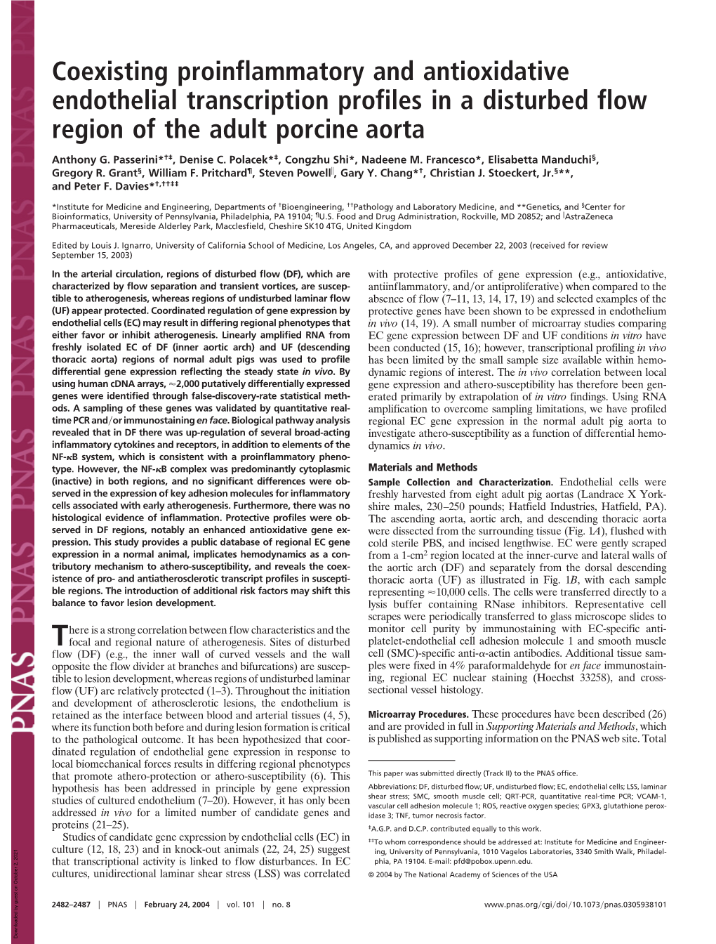 Coexisting Proinflammatory and Antioxidative Endothelial Transcription Profiles in a Disturbed Flow Region of the Adult Porcine Aorta