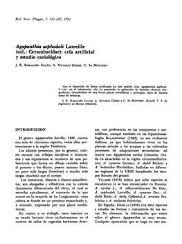 Agapanthia Asphodeli Latreille (Col.: Cerambycidae): Cría Artificial Y Estudio Cariológico