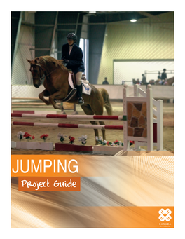 Horse Jumping Project Guide