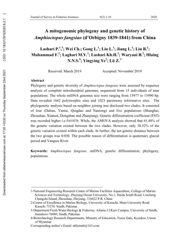 A Mitogenomic Phylogeny and Genetic History of Amphioctopus Fangsiao (D’Orbigny 1839-1841) from China