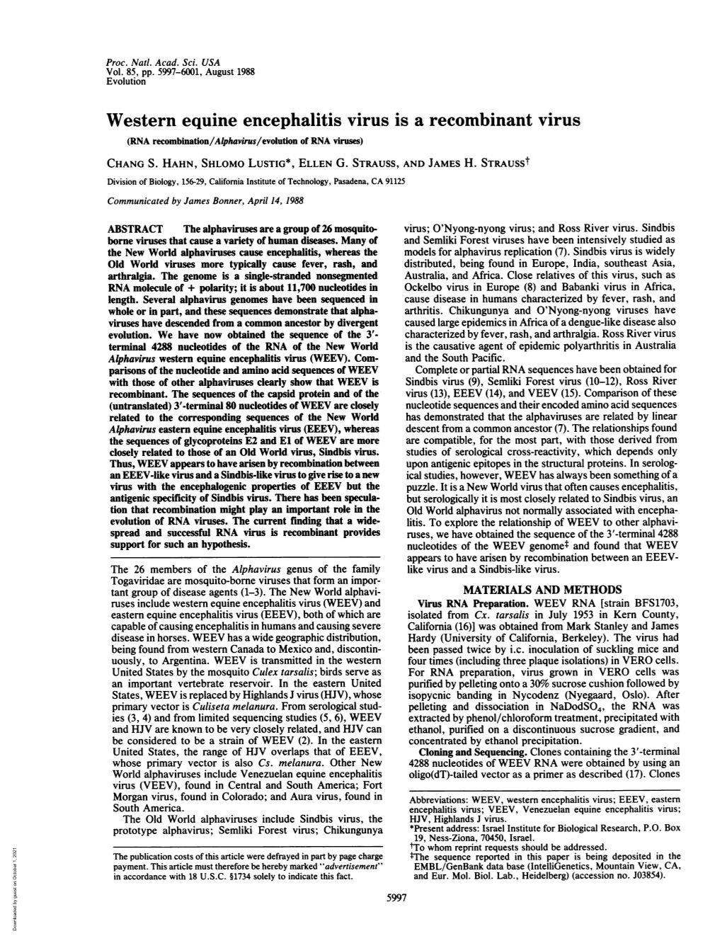Western Equine Encephalitis Virus Is a Recombinant Virus (RNA Recombination/Alphavirus/Evolution of RNA Viruses) CHANG S