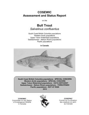 COSEWIC Assessment and Status Report on the Bull Trout Salvelinus Confluentus in Canada