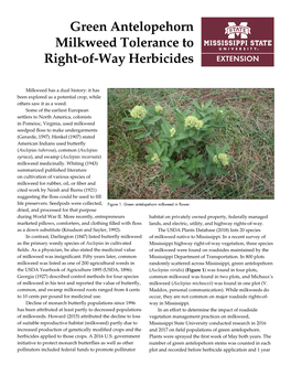 Green Antelopehorn Milkweed Tolerance to Right-Of-Way Herbicides