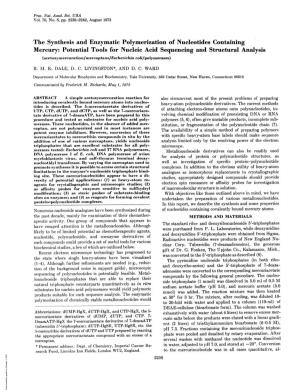 The Synthesis and Enzymatic Polymerization of Nucleotides Containing Mercury