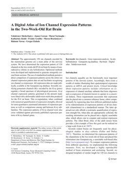 A Digital Atlas of Ion Channel Expression Patterns in the Two-Week-Old Rat Brain