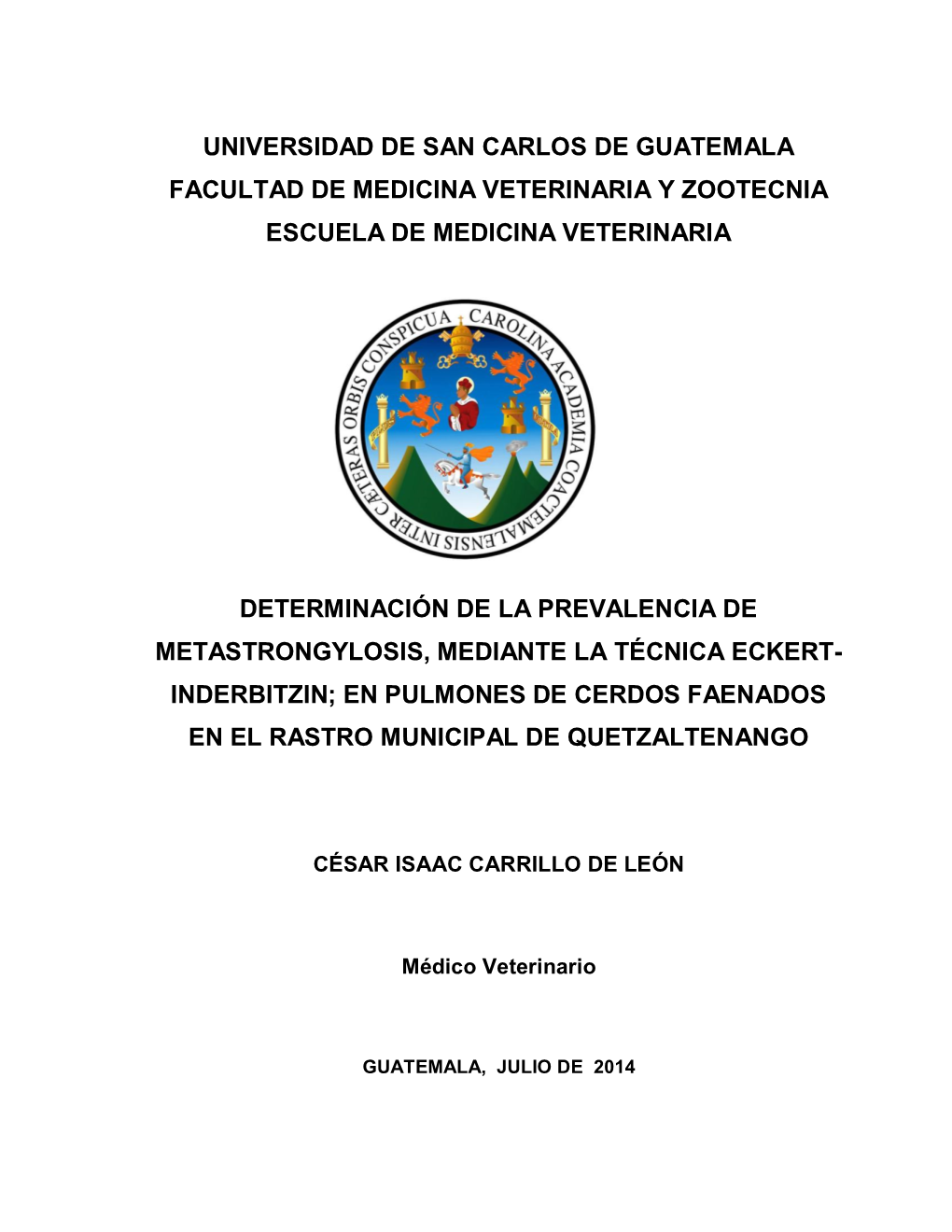 En Pulmones De Cerdos Faenados En El Rastro Municipal De Quetzaltenango