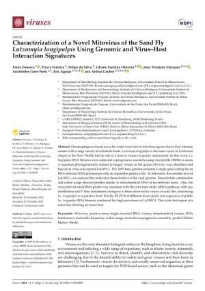 Characterization of a Novel Mitovirus of the Sand Fly Lutzomyia Longipalpis Using Genomic and Virus–Host Interaction Signatures