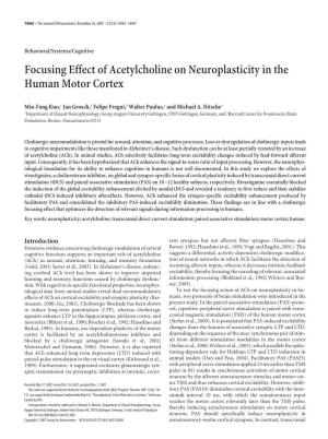 Focusing Effect of Acetylcholine on Neuroplasticity in the Human Motor Cortex