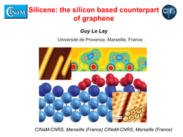 From Graphene to Silicene?