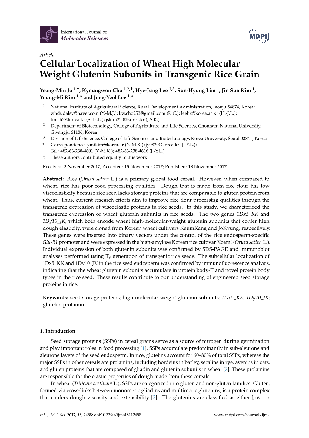 Cellular Localization of Wheat High Molecular Weight Glutenin Subunits in Transgenic Rice Grain