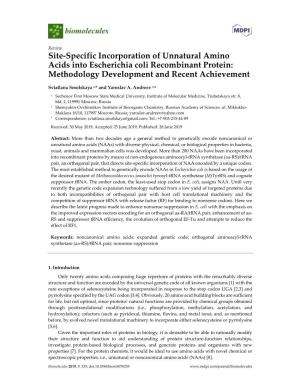 Site-Specific Incorporation of Unnatural Amino Acids Into Escherichia Coli Recombinant Protein: Methodology Development and Recent Achievement