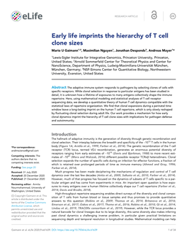 Early Life Imprints the Hierarchy of T Cell Clone Sizes Mario U Gaimann1,2, Maximilian Nguyen1, Jonathan Desponds3, Andreas Mayer1*