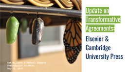 Update on Transformative Agreements: Elsevier & Cambridge