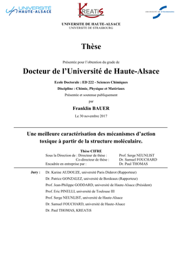 Thèse Docteur De L'université De Haute-Alsace