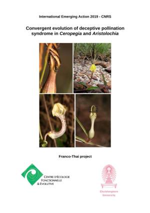 Convergent Evolution of Deceptive Pollination Syndrome in Ceropegia and Aristolochia