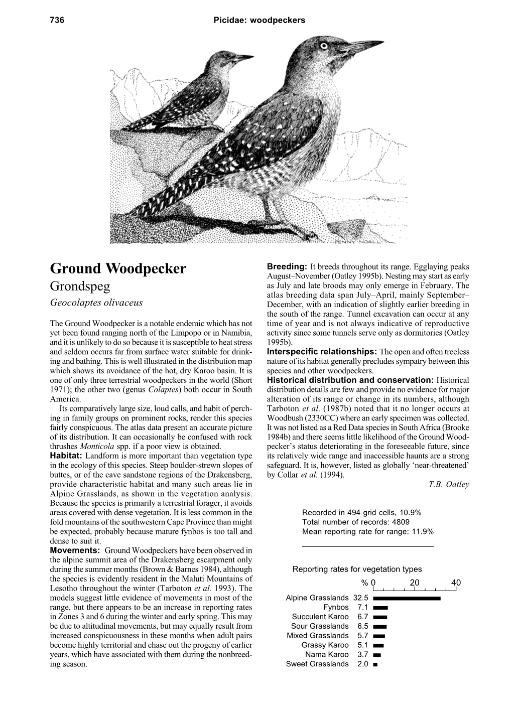 Ground Woodpecker August–November (Oatley 1995B)