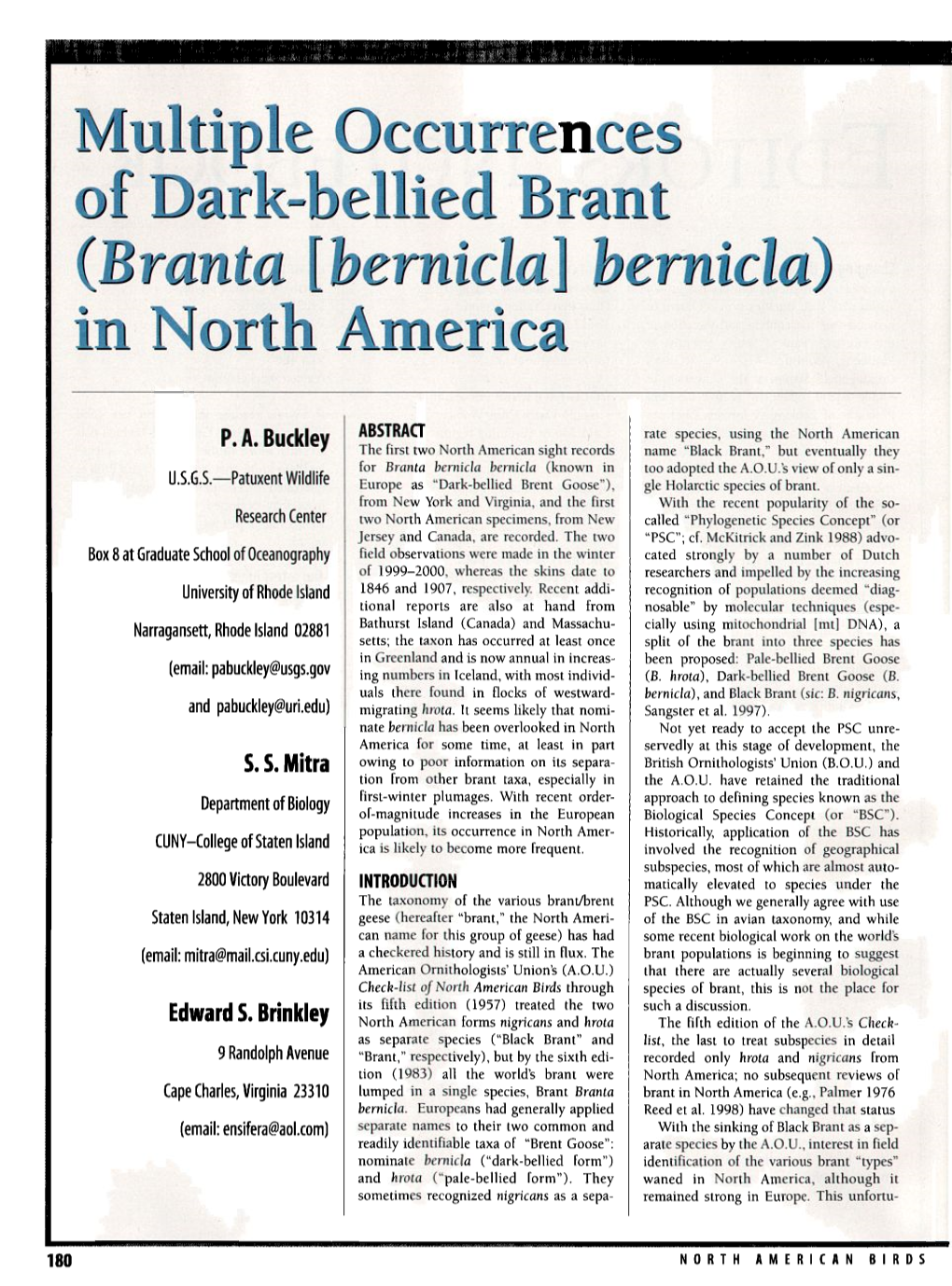 Multiple Occurrences of Dark-Bellied Brant (<I>Branta [Bernicla] Bernicla