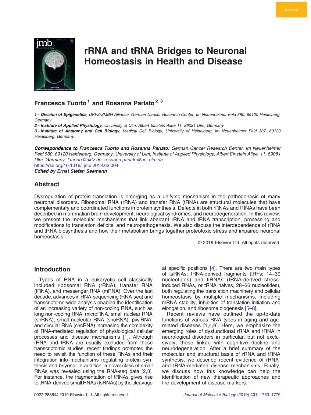 Rrna and Trna Bridges to Neuronal Homeostasis in Health and Disease