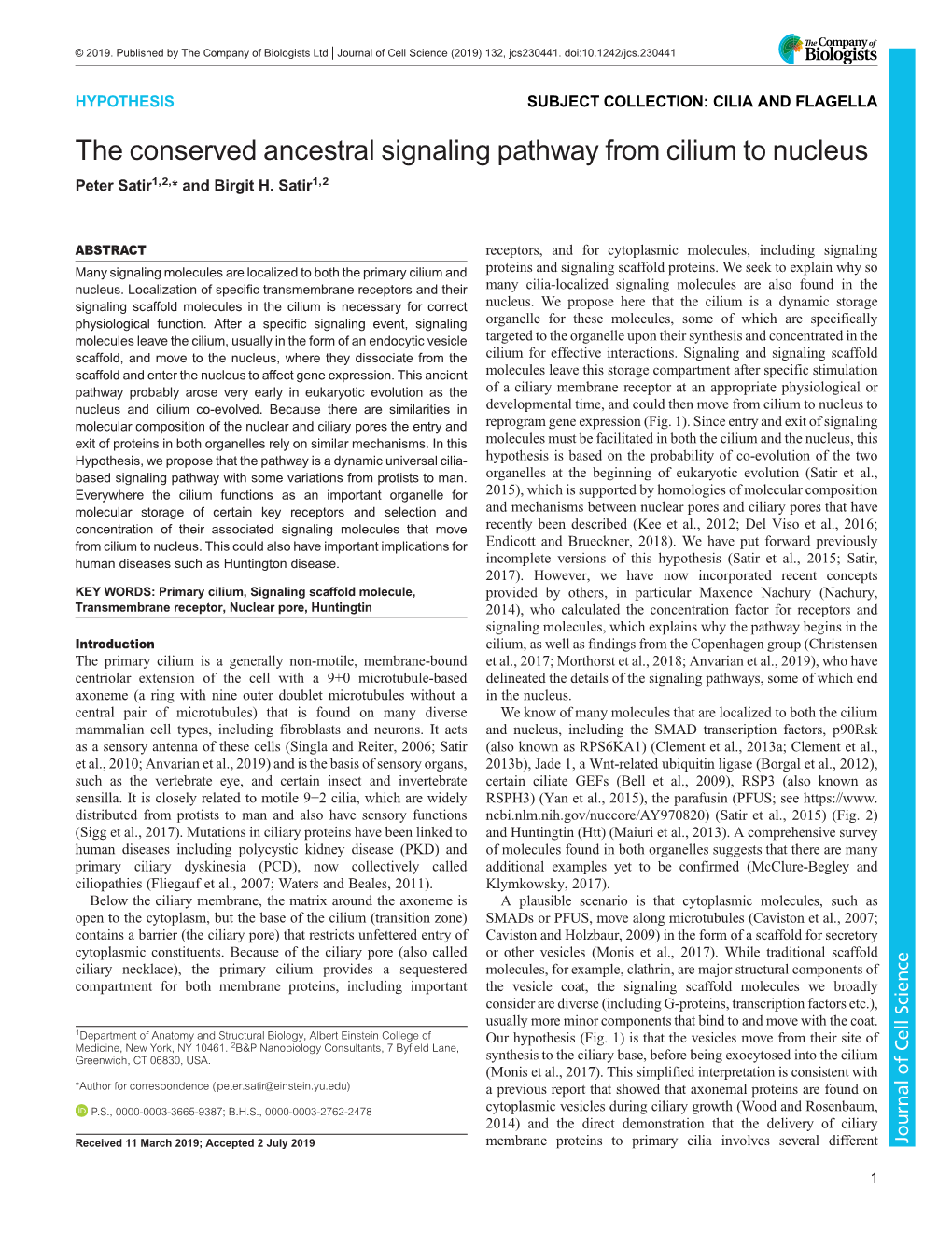 The Conserved Ancestral Signaling Pathway from Cilium to Nucleus Peter Satir1,2,* and Birgit H