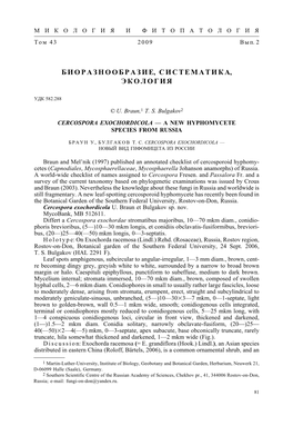 Cercospora Exochordicola — a New Hyphomycete Species from Russia