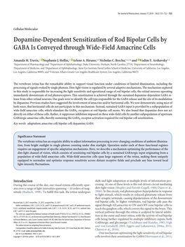 Dopamine-Dependent Sensitization of Rod Bipolar Cells by GABA Is Conveyed Through Wide-Field Amacrine Cells