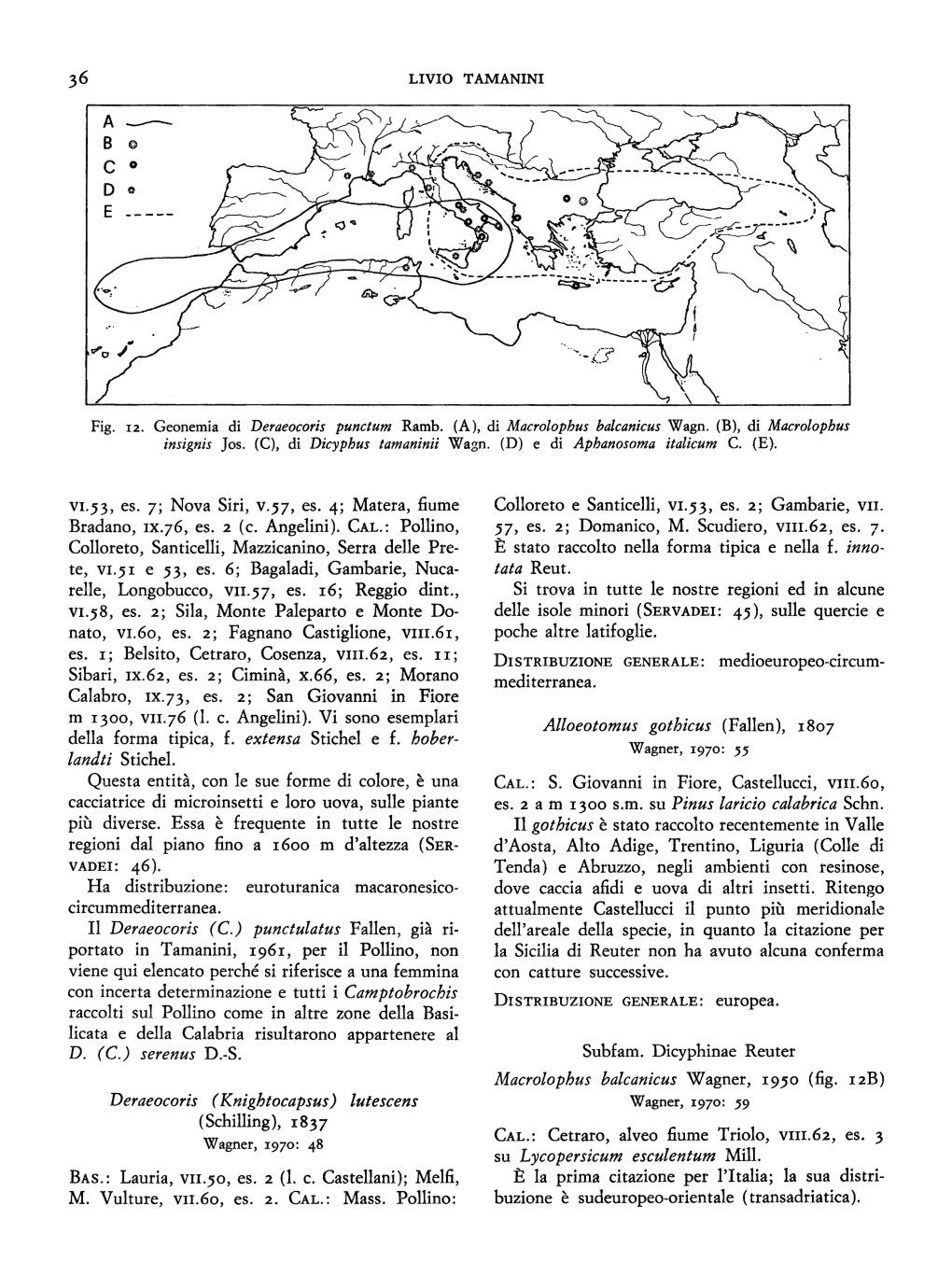 Buzione E Sudeuropeo-Orientale (Transadriatica)