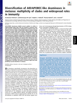 Diversification of AID/APOBEC-Like Deaminases in Metazoa: Multiplicity