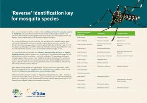 Identification Key for Mosquito Species