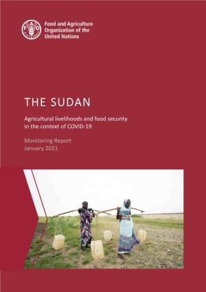 The Sudan | Agricultural Livelihoods and Food Security in the Context Of