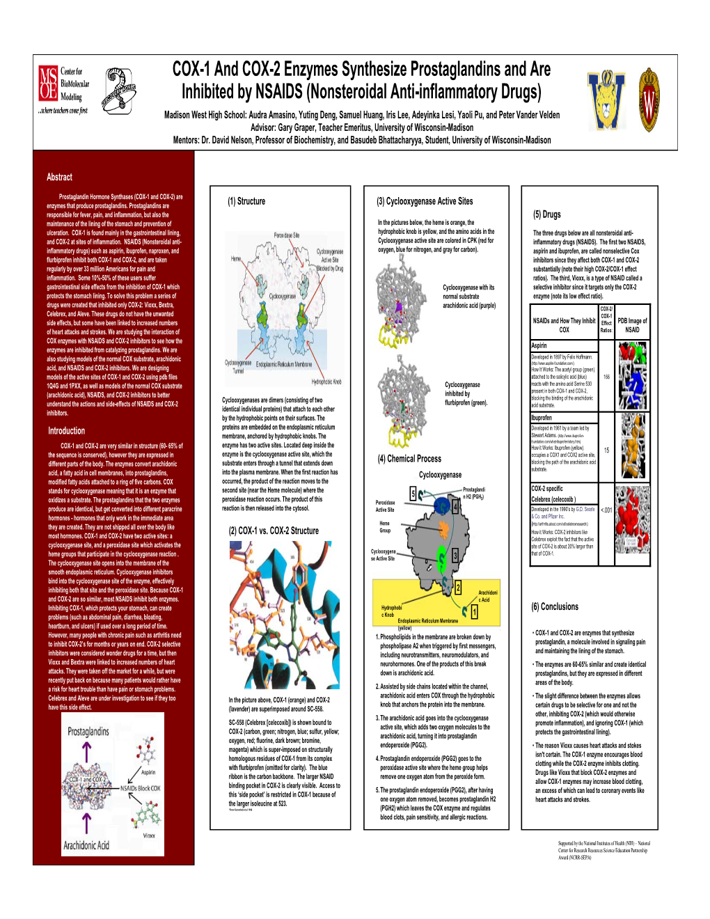 COX-1 and COX-2 Enzymes Synthesize Prostaglandins and Are Teacher Emeritus, University of Wisconsin-Madison) Mentor: Dr