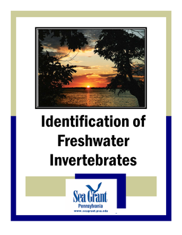 Identification of Freshwater Invertebrates