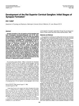 Development of the Rat Superior Cervical Ganglion: Initial Stages of Synapse Formation’