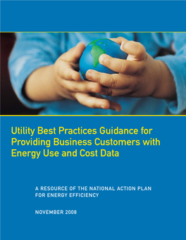 Utility Best Practices Guidance for Providing Business Customers with Energy Use and Cost Data