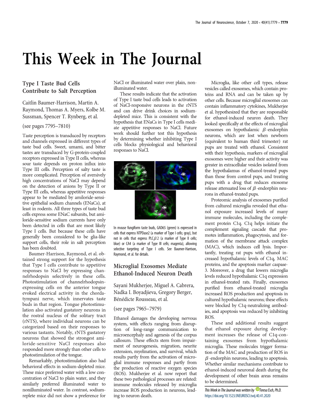 This Week in the Journal